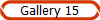 Gallery 15