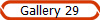 Gallery 29