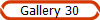 Gallery 30