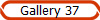 Gallery 37