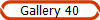 Gallery 40