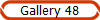 Gallery 48
