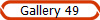 Gallery 49